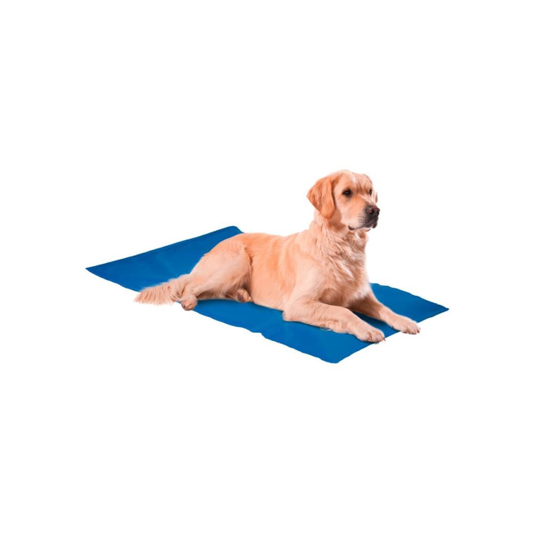 Nunbell XXL Elektriksiz Serinletici Köpek Soğutucu Mat Yatak 50x90 cm