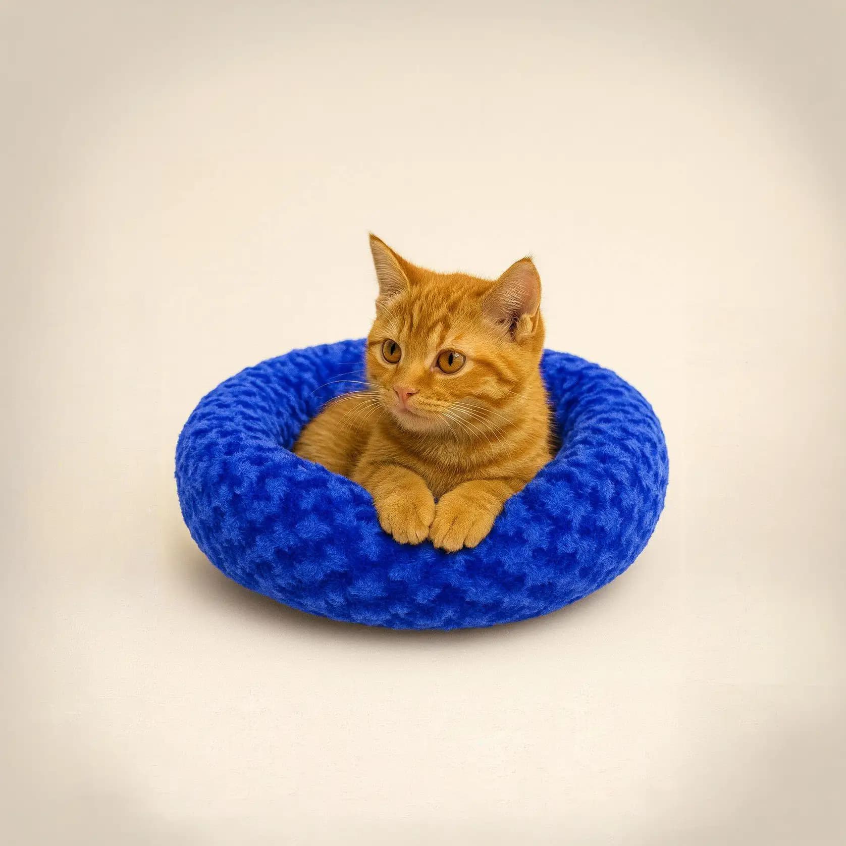 Petpretty Peluş Simit Kedi ve Küçük Irk Köpek Yatağı Mavi 55x55 cm