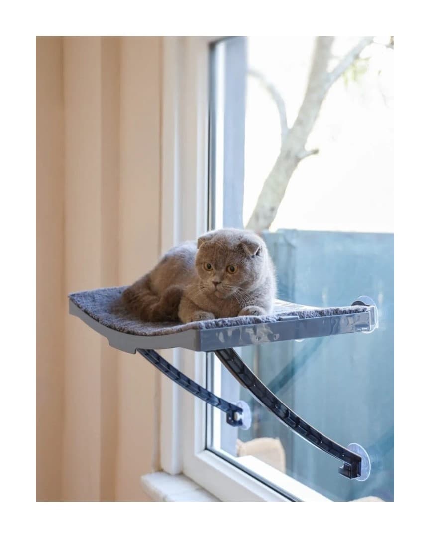Atapet Cam İçin Vantuzlu Kedi Yatağı