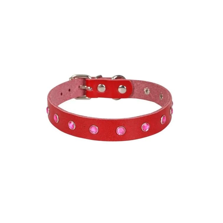 Cattie Premium Taşlı Gerçek Deri Kedi Boyun Tasması XLarge Kırmızı 1.5x26-31 cm