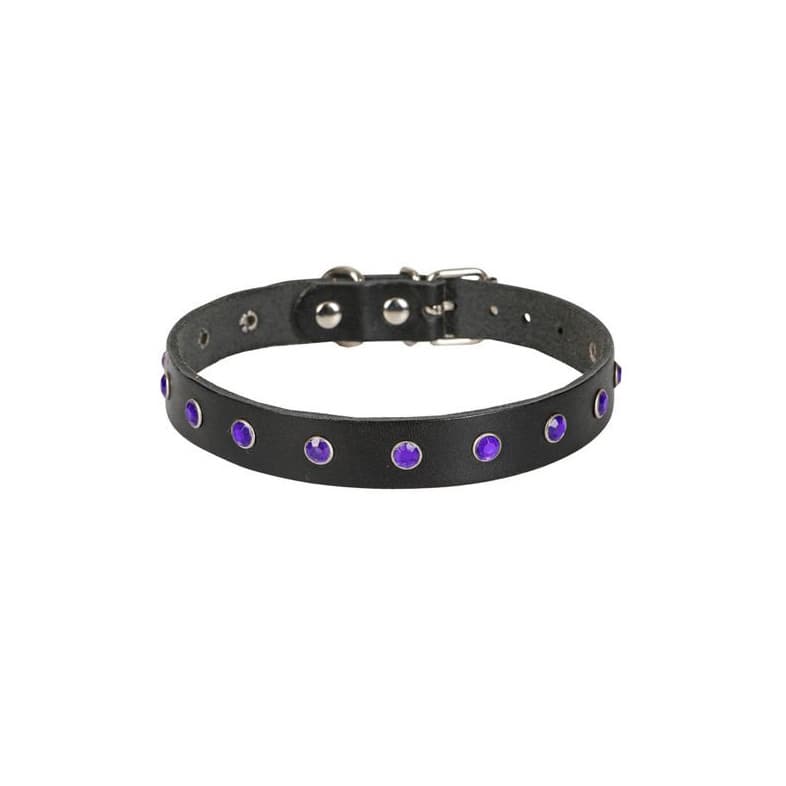 Cattie Gerçek Deri Taşlı Siyah Kedi Boyun Tasması XXL (1.5x27-33 cm)