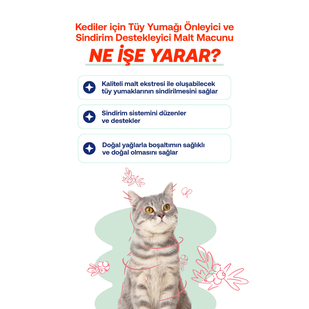 BİOFELİNE MALT PASTE- Tüy Yumağı Önleyici Kedi Maltı – Doğal Sindirim Destekli Macun (30g)-2039