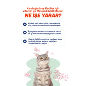 "Ne İşe Yarar?" başlığı altında; Kızılcık özütü ile üriner sistem sağlığı, 7 vitamin ve Taurin ile günlük ihtiyaç karşılama, malt ekstresi ile tüy yumağı sindirimi özelliklerini gösteren grafik.
