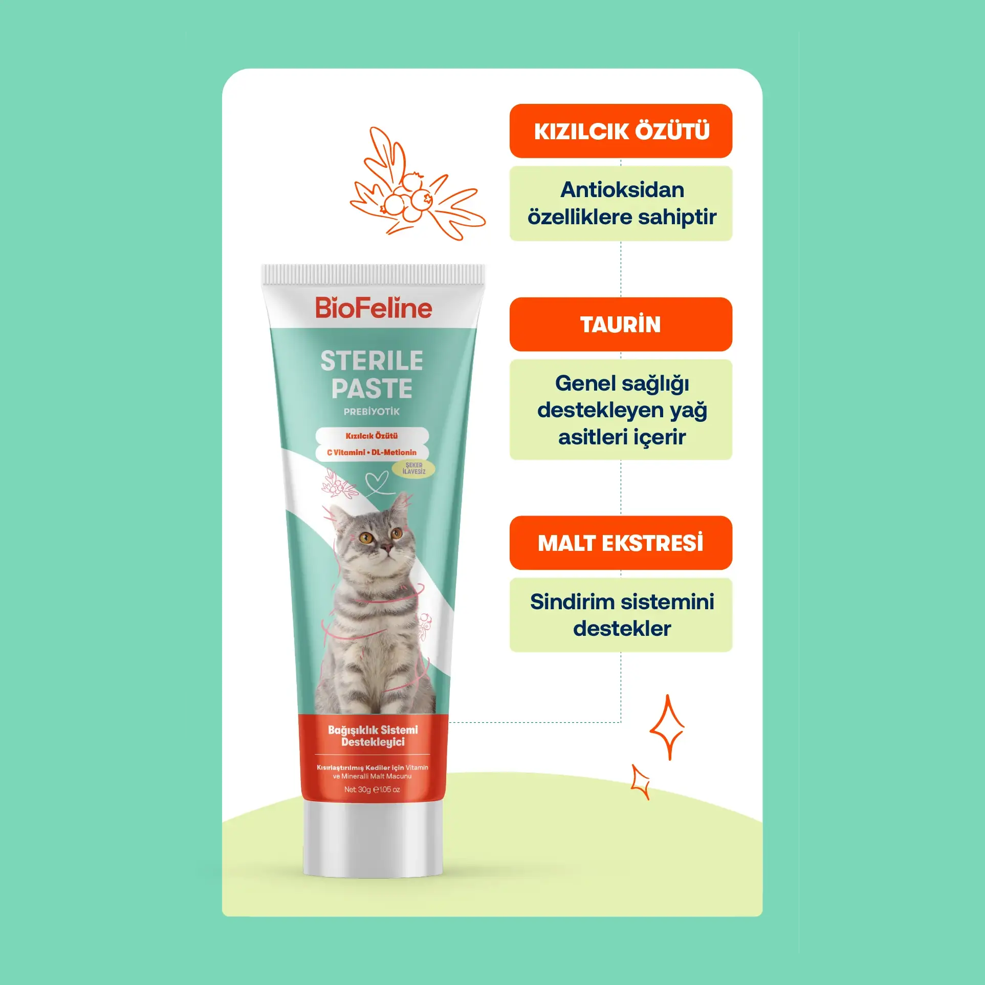 Biofeline Sterile Paste Kısırlaştırılmış Kediler İçin Vitaminli Malt Macunu – 0g-2040