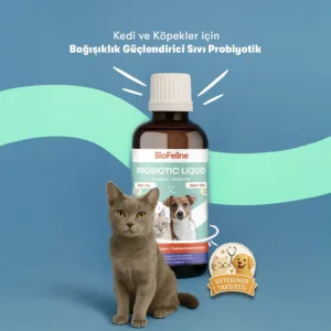 BioFeline Kedi ve Köpek İçin Sıvı Probiyotik Bağışıklık ve Sindirim Takviyesi - 100 ml