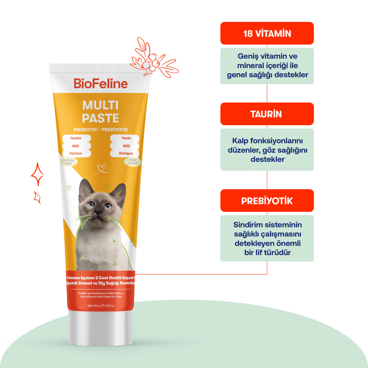 Kediler İçin Multivitamin Macunu Bağışıklık Güçlendirici & Tüy Yumağı Önleyici 100g- 2037 "BioFeline Multi Paste içeriğindeki Taurin ile kalp göz sağlığı ve prebiyotik ile sindirim desteği özellikleri."