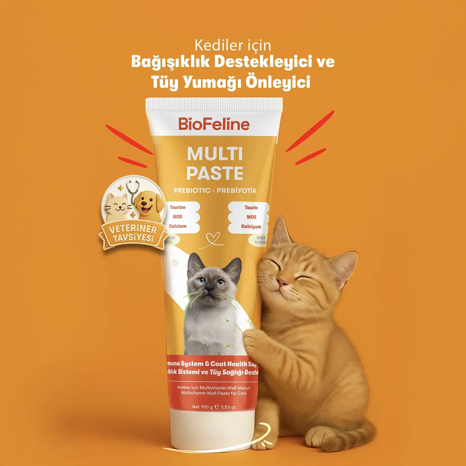 Kediler İçin Multivitamin Macunu Bağışıklık Güçlendirici & Tüy Yumağı Önleyici 100g 2037
