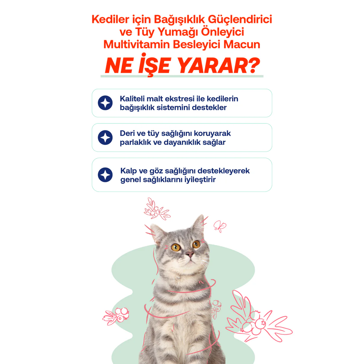 Kediler İçin Multivitamin Macunu Bağışıklık Güçlendirici & Tüy Yumağı Önleyici -100g -2037