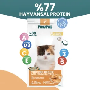 PAWPAL Tavuklu Yavru Kedi Maması 2 Kg - %77 Hayvansal Protein & Düşük Tahıllı (Low Grain)