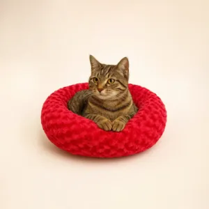 Petpretty Peluş Simit Kedi ve Küçük Irk Köpek Yatağı Kırmızı 55x55 cm