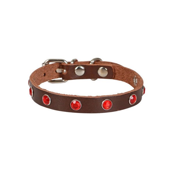 Cattie Gerçek Deriden Taşlı Kedi Boyun Tasması Medium Kahverengi 1x20-23 Cm-2059