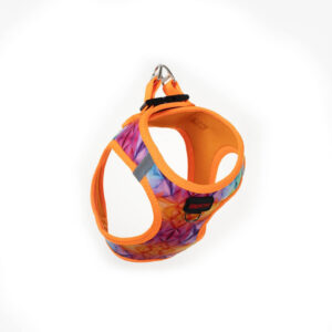 DOCA Rainbow Air-Mesh Köpek Göğüs Tasması XS