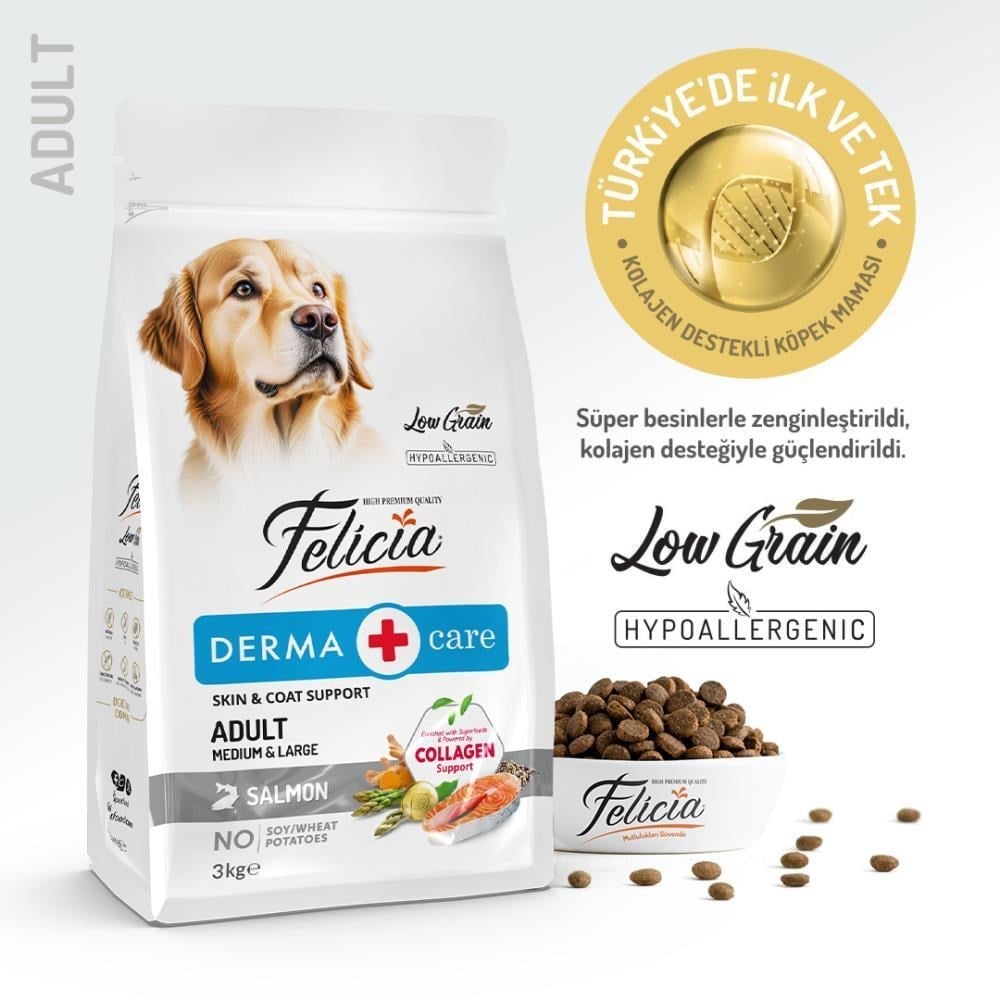FELİCİA DERMA CARE SOMONLU KÖPEK MAMASI ORTA VE BÜYÜK IRK 3 — 2KG-3139