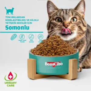 BonaCibo Adult Sterilised Somonlu Kısırlaştırılmış Yetişkin Kedi Maması 2 kg