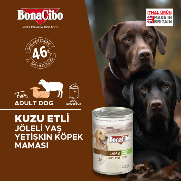 3232-BonaCibo Jöleli Kuzu Etli Yaş Yetişkin Köpek Maması 400 Gr BonaCibo Jöleli Kuzu Etli Yetişkin Köpek Yaş Maması 400 Gr