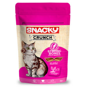 Snacky Crunch Strong Tavuklu ve Peynirli Kedi Ödül Maması 60 Gr