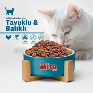 Premium Mito Mix Tavuklu ve Balıklı Renkli Taneli Yetişkin Kedi Maması 1 Kg