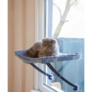 Atapet Cam İçin Vantuzlu Kedi Yatağı